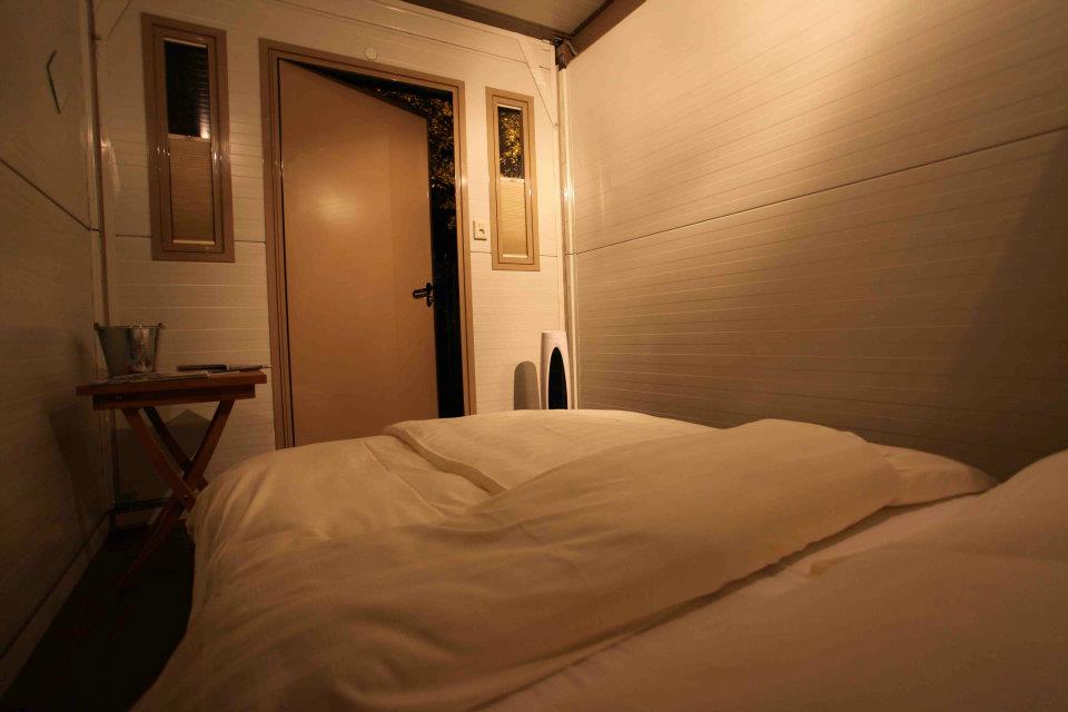 423695_234332919981546_349242639_n