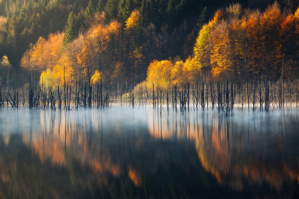 Vlad Paulet, Romania - sursa: tpoty.com